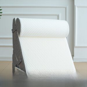 Wedge Pillow Set with Lumbar Support — Reading & Rest