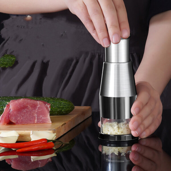 Garlic Crusher Onion Chopper Multipeler Vegetables Chopper Manual